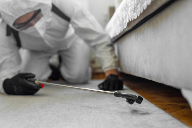 Professional Bed Bug Control technician working in Hedwig Village, TX