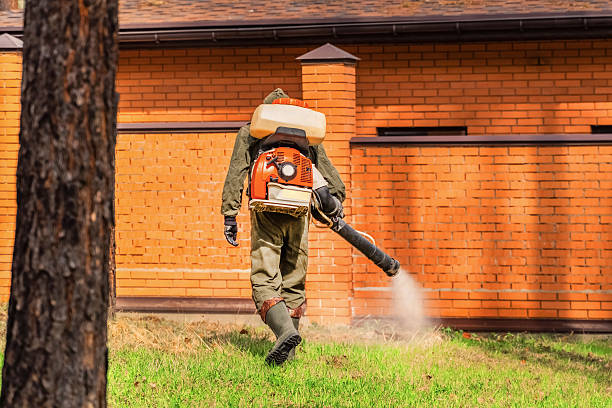 Trusted Bed Bug Control service in Hedwig Village, TX - Nex Pest Control